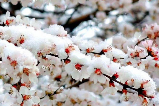 雨雪冰雹是怎么形成的