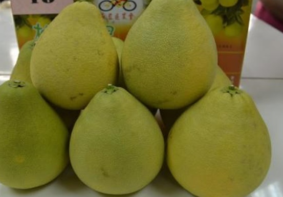 文旦和柚子的区别