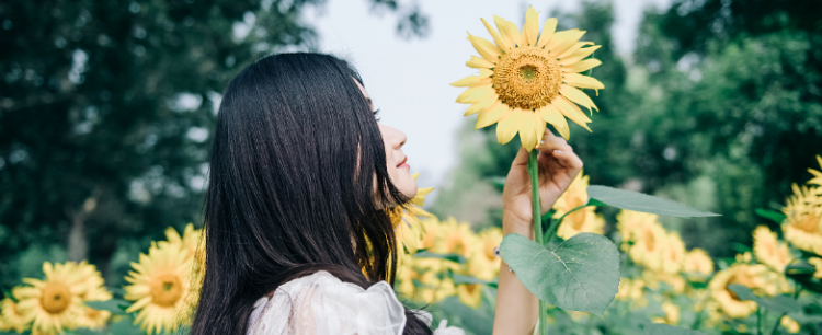 景物描写片段有哪些