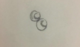 章鱼哥简笔画怎么画