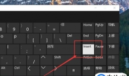 在word中打字时会删除后面的字怎么办？