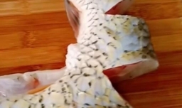 好吃的家常炖鱼