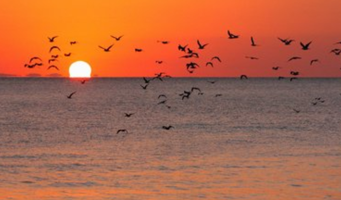 日字加一笔有哪些字