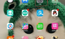 iPad屏幕显示时间怎么设置