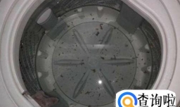 如何清洗洗衣机？