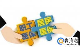 买了五险一金需要退医保吗,五险一金和居民医保能互相转换吗