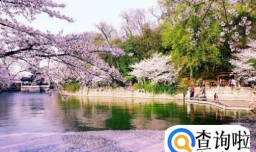 国内三月份适合旅游的地方有哪些？