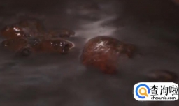 老成都油油饭怎么做