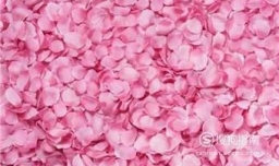 自制简易玫瑰香包！