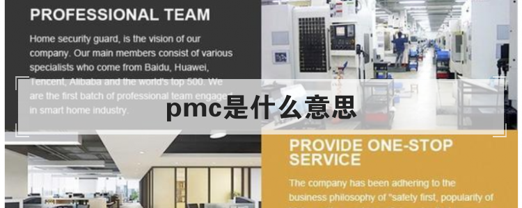pmc是什么意思