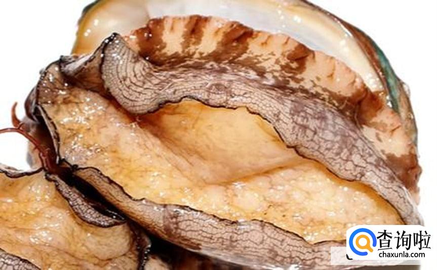 吃鲍鱼有哪些好处