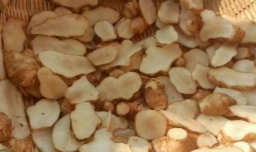 怎样淹姜不辣咸菜