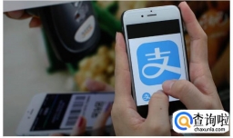 支付宝被限制收款怎么办