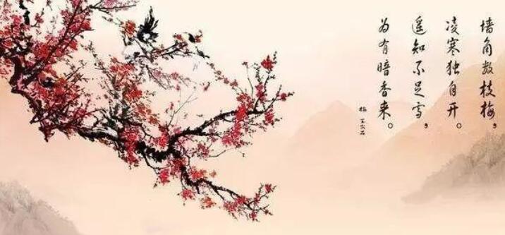 遥知不是雪为有暗香来的意思是什么？