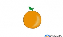 绘画系列之教你如何画简易橙子