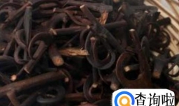 钩藤的功效与作用