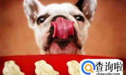 狗狗能吃甜食吗？