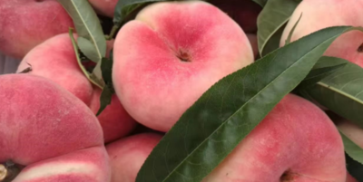 上海特产有哪些？