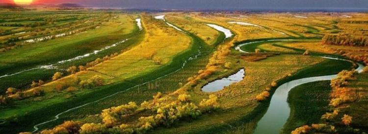 地球之肾是什么