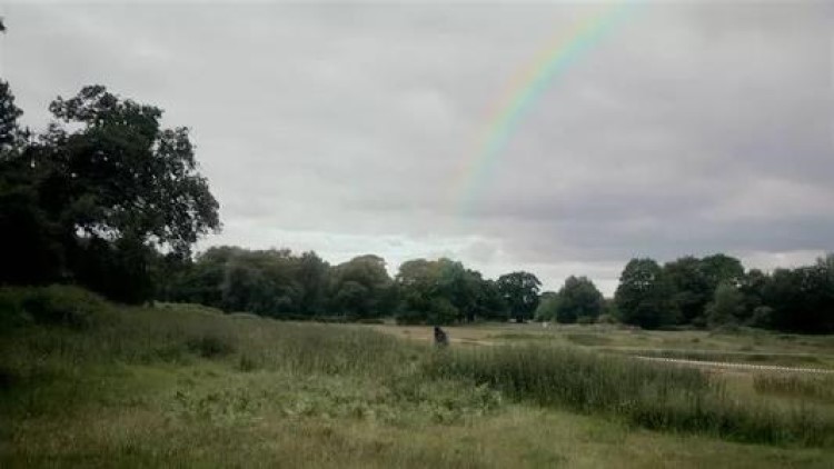 loser什么意思中文