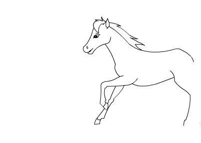 马的简笔画