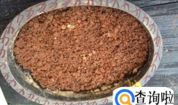 水果种子不要扔，教给大家制作盆景的好方法！