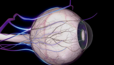 瞳孔放大意味着什么