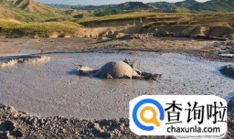 火山泥的功效作用 火山泥能祛痘祛黑头吗