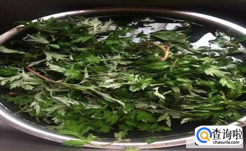 艾草芽的食用方法是怎么样的