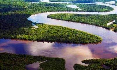 世界流域面积最大的河