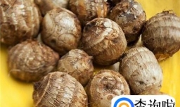怎样选购优质芋头