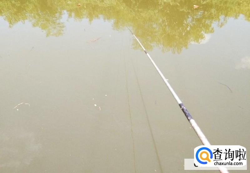 新手钓鱼入门基本功,钓鱼技巧大全