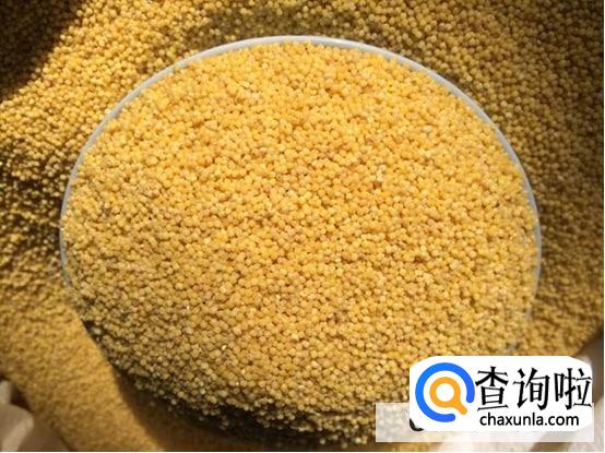 粮食小米哪里好