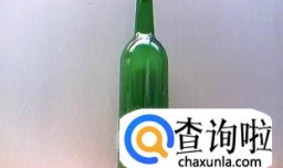 啤酒瓶、红酒瓶手工diy田园风花瓶