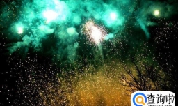 狗狗都害怕什么