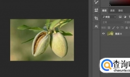 怎样使照片小于20k