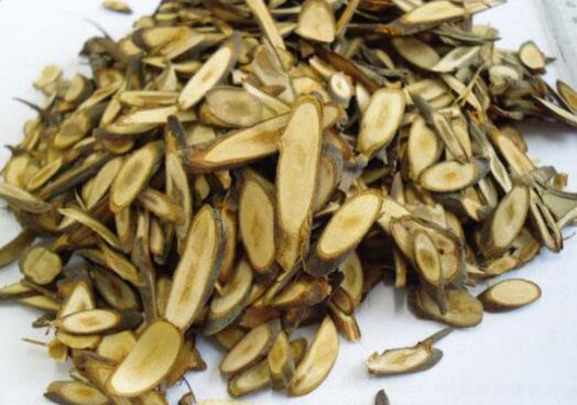 海风藤的功效与作用