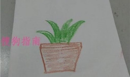简笔画花盆是怎么画的