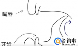 弹舌怎么快速练