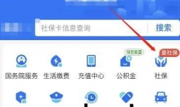 邯郸医疗保险网上如何缴费