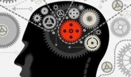 如何科学用脑记忆