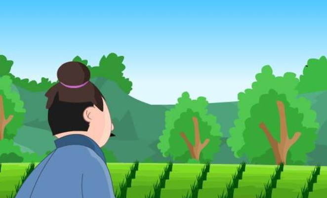 拔苗助长的故事是什么