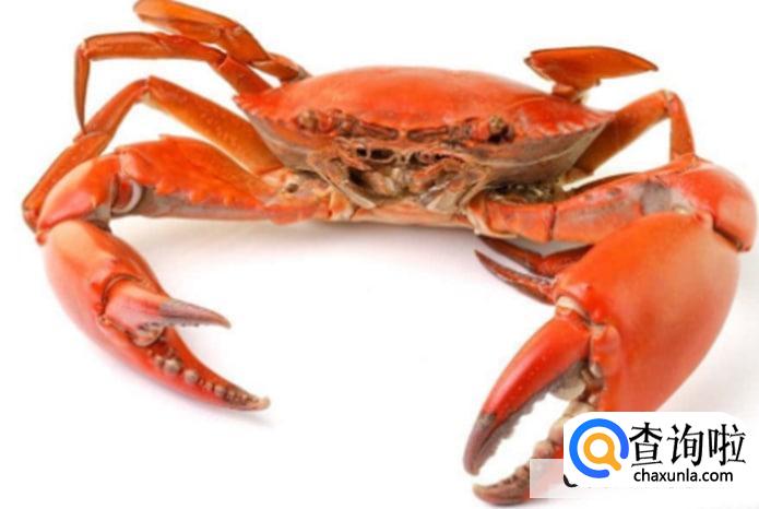 螃蟹有什么挑选的方法呢