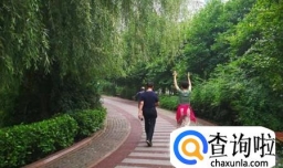 怎么散步减肥效果好