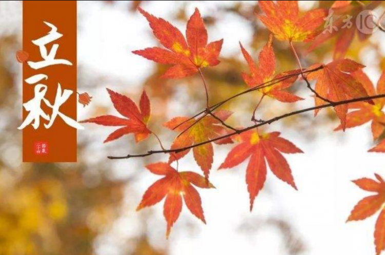 立秋怎样养生