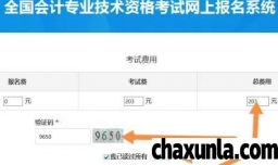 会考报名怎样缴费