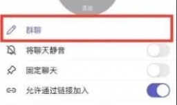 Teams怎样更改群聊名称