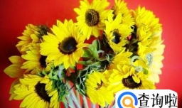 节假日怎样装扮房间好看？