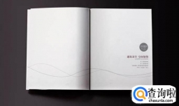 白皮书是什么意思