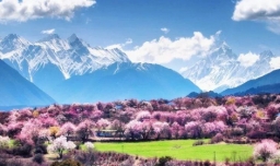 有哪些描写春天景色的一段话？